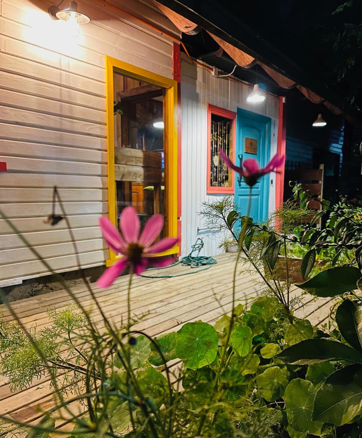 La Araucaria Hosteria Boutique - Ex Lounge Brasil Pucon Bagian luar foto