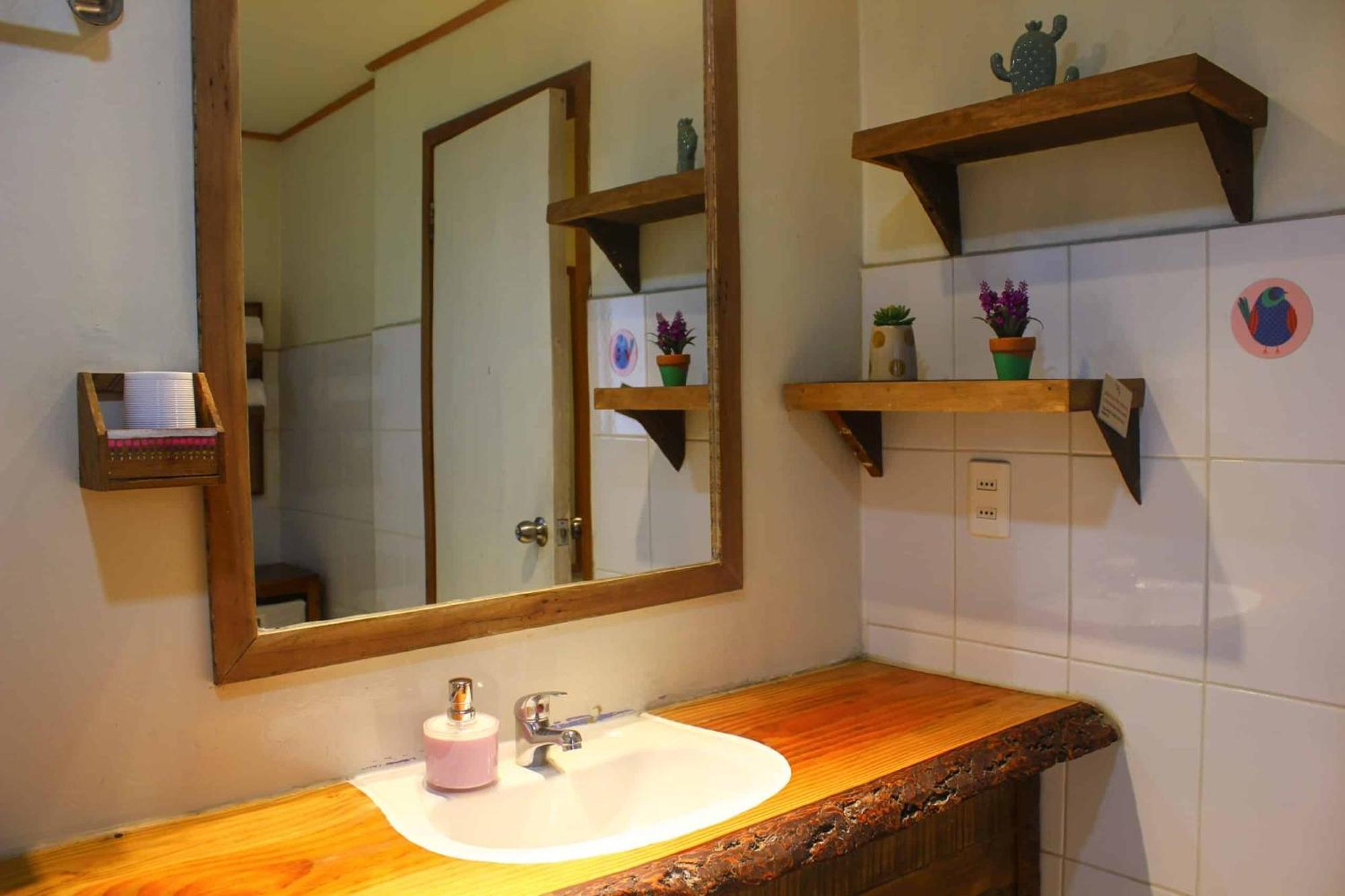 La Araucaria Hosteria Boutique - Ex Lounge Brasil Pucon Bagian luar foto